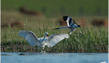 Productfoto: HBN Foto Versteck 10 - Das Groninger Landschap