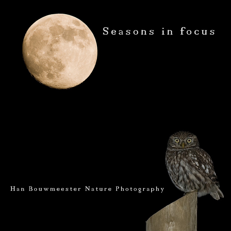 DVD-hoes-klankbeeld-seasons-passend
