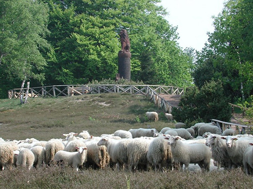 Landschap-Overijssel-partner-2