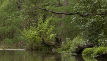 Productfoto: HBN Foto Versteck 5