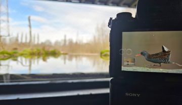 Productfoto: HBN Foto Versteck 1XL