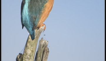 Productfoto: HBN Foto Versteck 10 - Das Groninger Landschap
