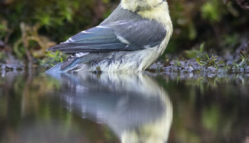 Productfoto: HBN Foto Versteck 8