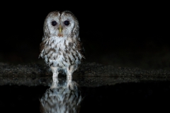 alone="yes"?>

