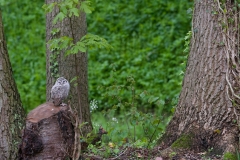 alone="yes"?>

