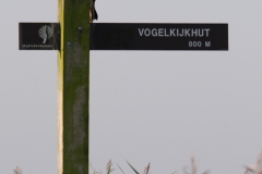buizerd_HBN8767