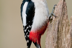alone="yes"?>

