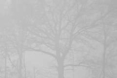 alone="yes"?>

