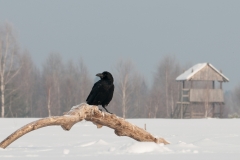 alone="yes"?>

