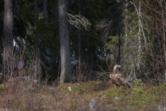 alone="yes"?>


