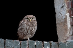 alone="yes"?>

