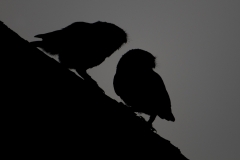 alone="yes"?>

