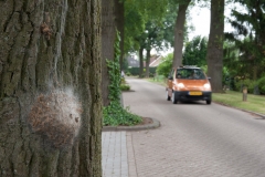 alone="yes"?>

