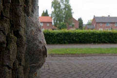 alone="yes"?>

