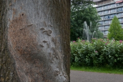 alone="yes"?>

