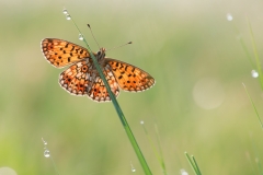 alone="yes"?>

