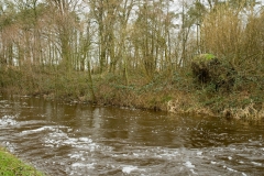 ijsvogelbeek_HBO1817