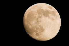 maan_HBN6037