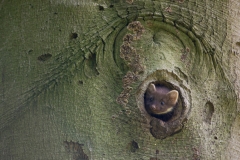 alone="yes"?>

