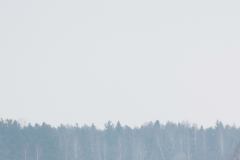 alone="yes"?>


