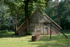 Buurserzand-Lös-hoes_HBN6522