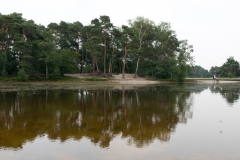 Buurserzand_HBN6599