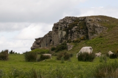 Cheviot-Hills_HBN4121