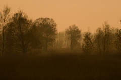 Diepholzer-moor_HBN2185