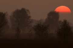 Diepholzer-moor_HBN2212