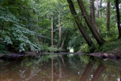 Haarmuhle-beek_HBN6342
