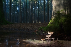 alone="yes"?>

