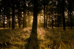 Jeagersborg_HBN7431