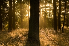 Jeagersborg_HBN7433
