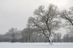 Landgoed Twickel_HBN3540