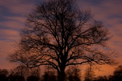 alone="yes"?>

