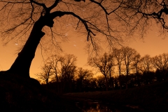 alone="yes"?>

