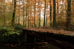 Bruggetje over beek op landgoed Weldam