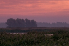 Lauwersmeer_HBN8403
