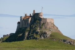 Lindesfarne_HBN4181