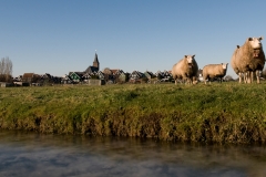 Marken_HBN5507