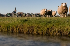 Marken_HBN5509