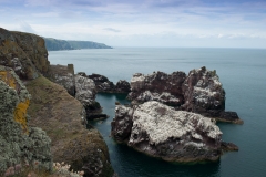Saint-Abbs-Head_HBN6981