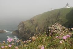 Saint-Abbs-Head_HBO3528