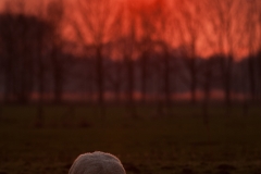 alone="yes"?>

