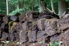 Turf_HBN6322