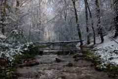 Twickel_HBN3683
