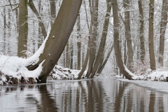 Twickelervaart-winter_HBN3503