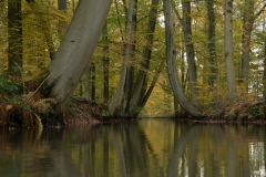 Twickelervaart_HBN1841
