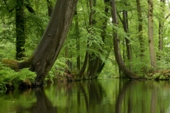 Twickelervaart_HBN2419