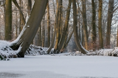Twickelervaart_HBN5988